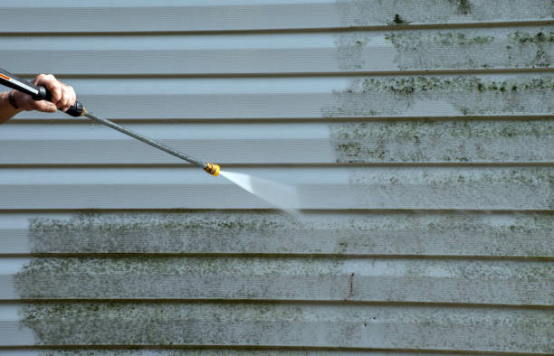 Best Mold Damage Repair  in North Shore, VA