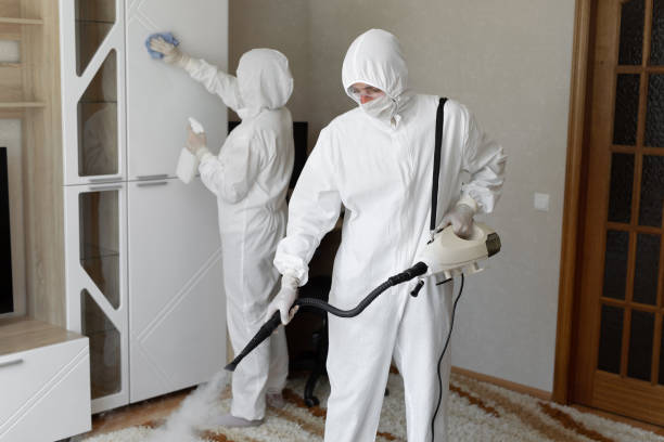 Best Toxic Mold Removal  in North Shore, VA