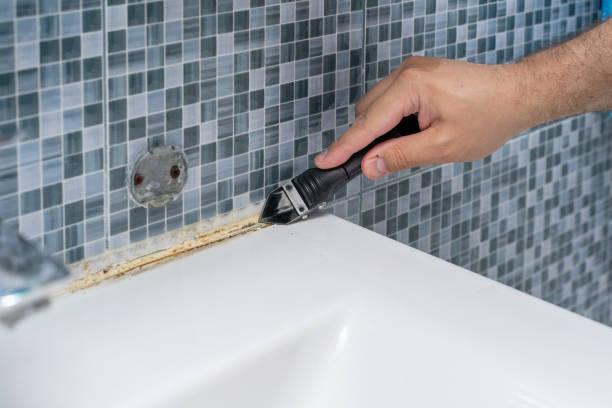 Best Mold Remediation  in North Shore, VA