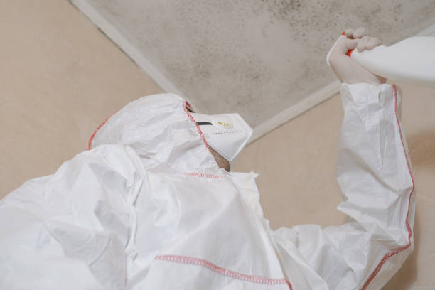 Best Residential Mold Removal  in North Shore, VA